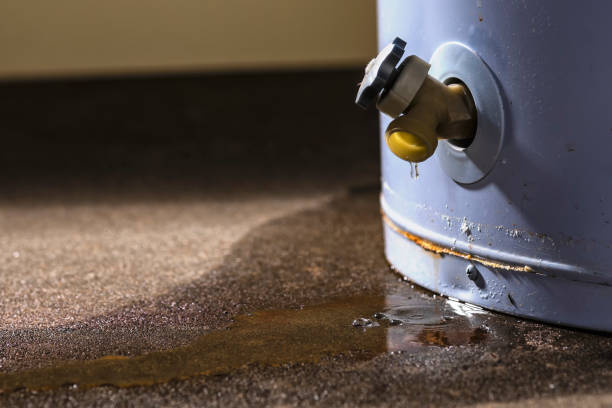 Best Water damage restoration near me  in Mascoutah, IL