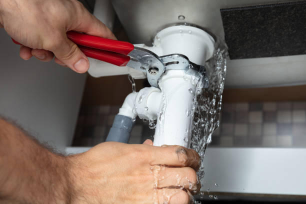 Best Water damage restoration process  in Mascoutah, IL
