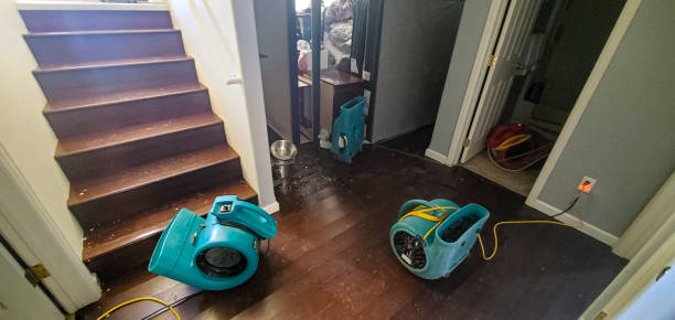 Best 24-hour water damage restoration  in Mascoutah, IL