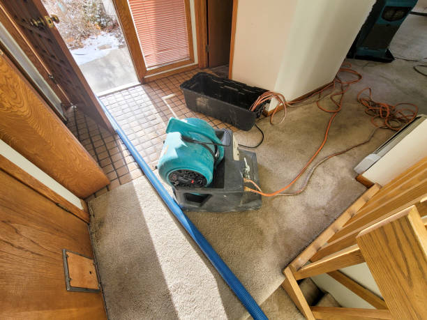 Best Water damage contractors near me  in Mascoutah, IL