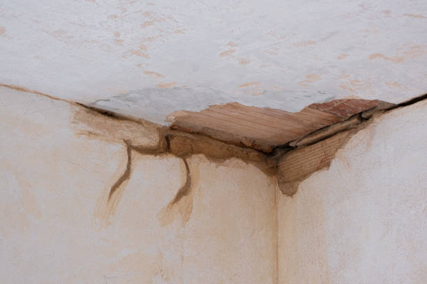 Best Flooded house restoration  in Mascoutah, IL