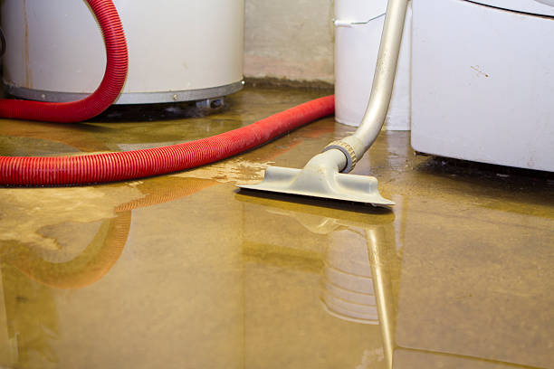 Best Water damage cleanup near me  in Mascoutah, IL