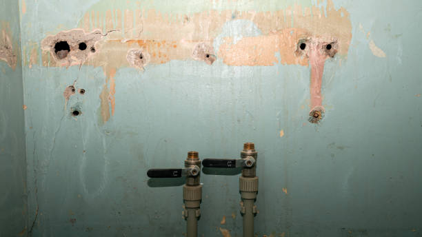 Professional Water damage restoration in Mascoutah, IL
