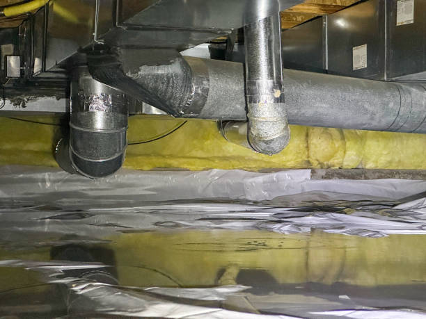 Best Basement water damage restoration  in Mascoutah, IL