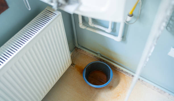 Best Water damage restoration near me  in Mascoutah, IL