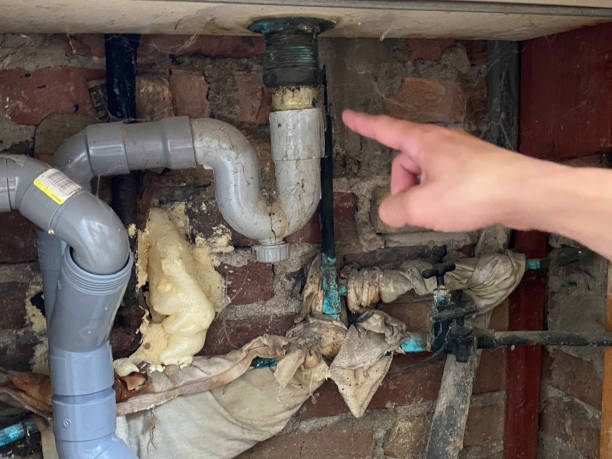 Best Residential water damage restoration  in Mascoutah, IL