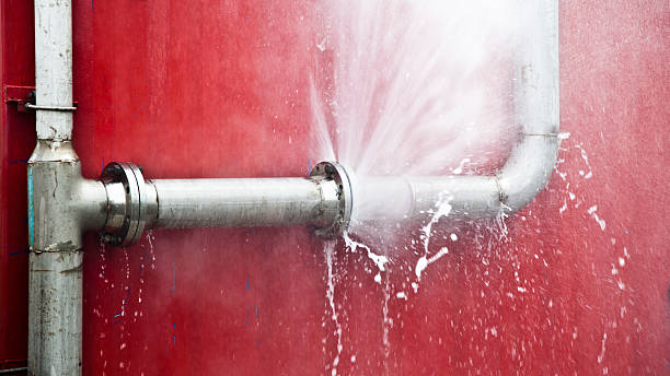 Carpet water damage restoration in Mascoutah, IL